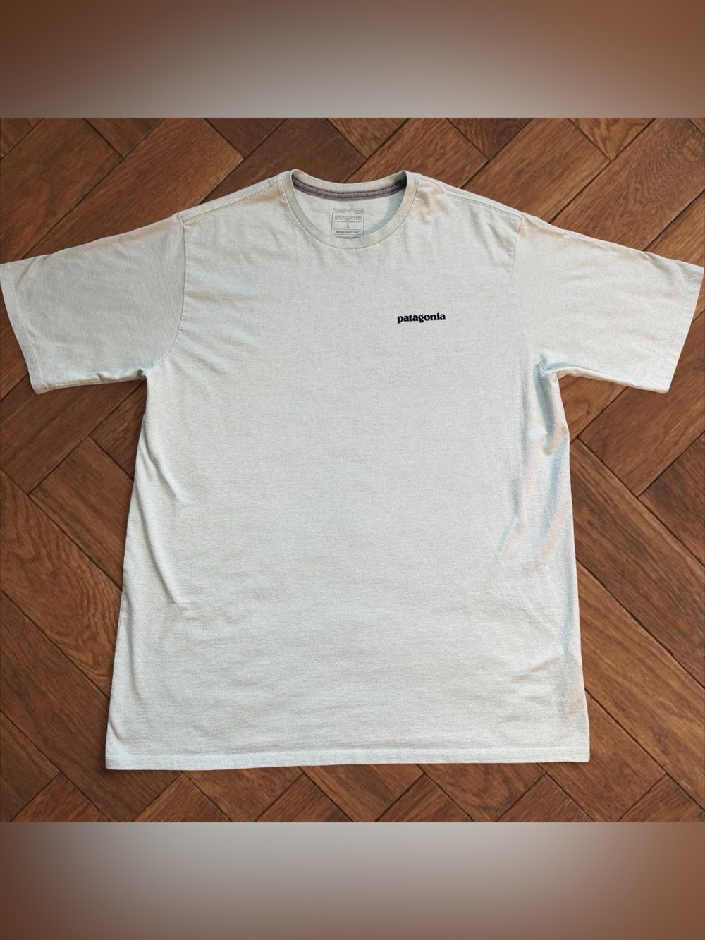 Patagonia Shirt Men's Large Mint Green Crew Neck Responsibili-Tee Regular Fit